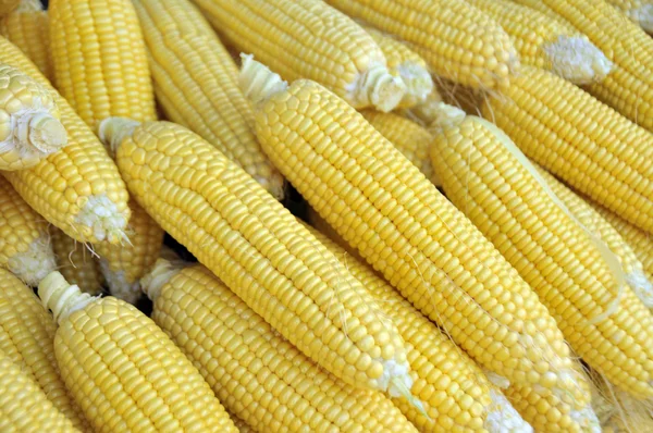 Fresh Corns at the Market — Stock Photo, Image