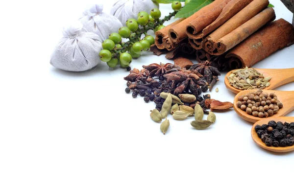 Variety of Spices and herbs,Food and cuisine ingredients on white — Stock Photo, Image