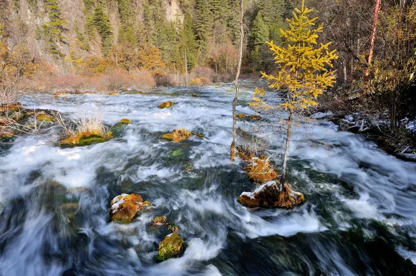 Jiuzhaigou Valley Scenic and Historic Interest Area, Sichuan, China — Stock Photo, Image