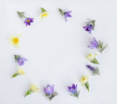 Bahar çiçekleri, kar damlası ya da lumbago şeklinde yuvarlak bir çerçeve, açık arkaplan. Şenlikli yay bezi