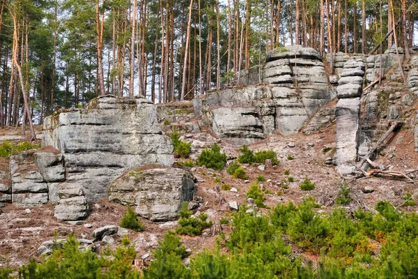 Piedras Areniscas Hermoso Panorama Forestal — Foto de Stock