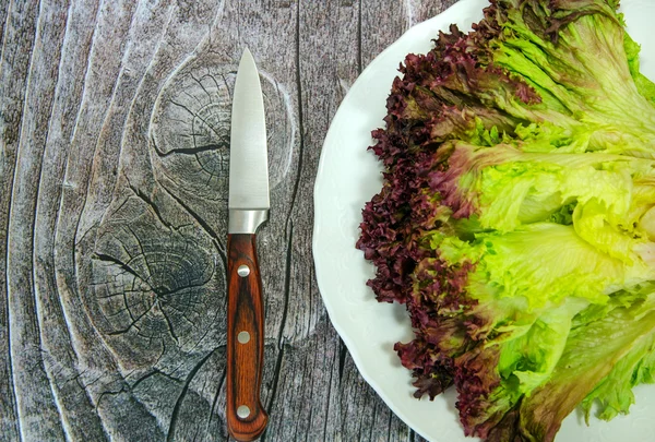 Salad on the plate with knife — Stock Photo, Image