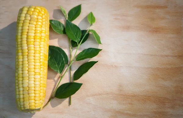 Juicy corn cob — Stock Photo, Image