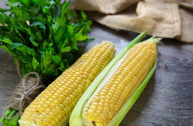 İki mısır koçanı maydanoz ile