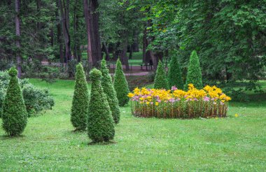 Bahçe çim ve çiçek