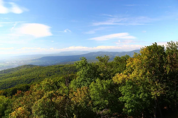 Wonderful Landscape View Green Forest Hills Lower Austria Gumpoldskirchen Mount — Stock Photo, Image