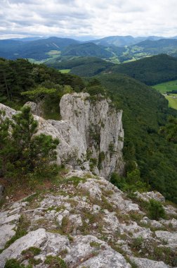 Manzaralı dağ manzarası: Avusturya 'daki Peilstein Dağı