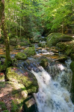 Idyllic manzara: Aşağı Avusturya 'daki Ysperklamm' da güzel şelale şelaleleri. Waldviertel. 