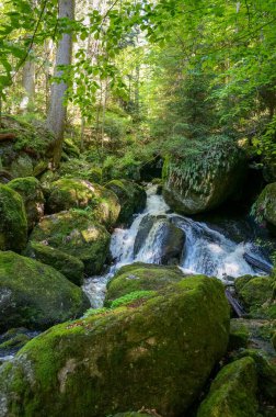 Aşağı Avusturya 'daki Ysperklamm' da harika şelale şelaleleri. Waldviertel. 