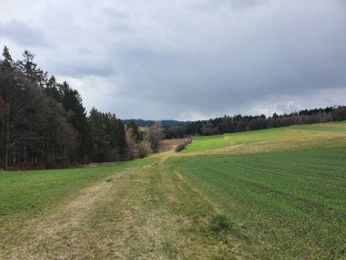 Aşağı Avusturya 'daki kırsal alan. Waldviertel. Avusturya. 