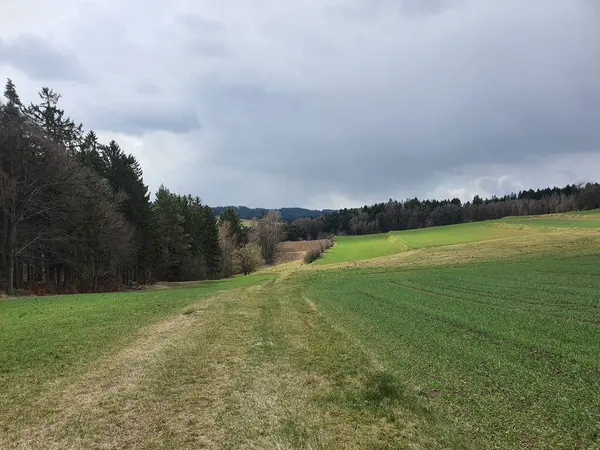 Aşağı Avusturya 'daki kırsal alan. Waldviertel. Avusturya. 