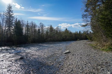 Avusturya 'daki Carinthian Alpleri' nde küçük ve huzurlu bir dere. seyahat ve tatil konsepti.