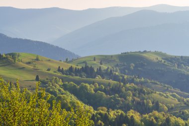 Yeşil dağlar mavi sevdanın