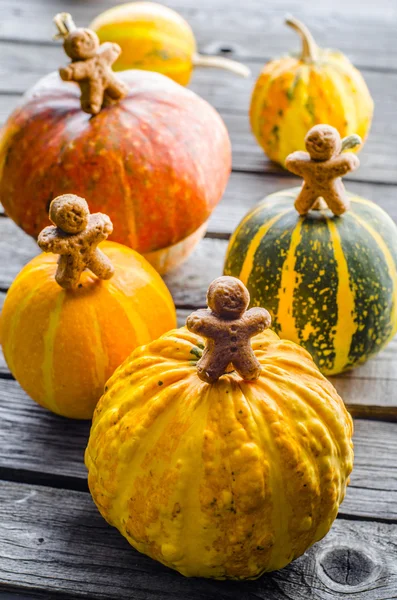 Decorative pumpkins on wooden table — Stock Photo, Image