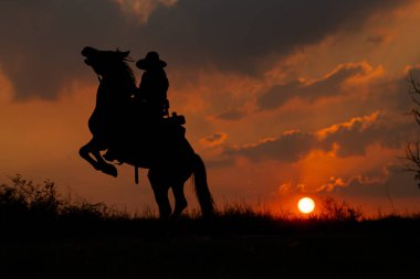 Siluet bir kovboy ağaçların yanındaki yamaçta gün batımının önünde at yetiştiriyor. Arka planda doğal ışık olan güzel gökyüzü.