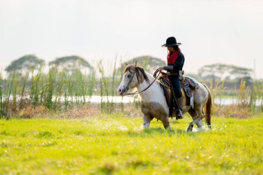 Şapka kontrol atı olan bir kovboy nehir kenarındaki çim tarlasında yürüyor ve yürürken biraz su sıçratıyor..