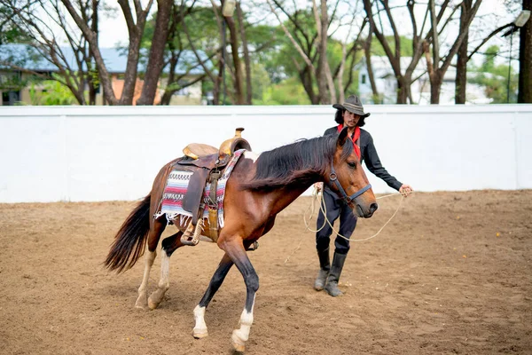 Один Чоловік Ковбойським Костюмом Тренує Коня Відкритому Повітрі Стабільний Щоб — стокове фото