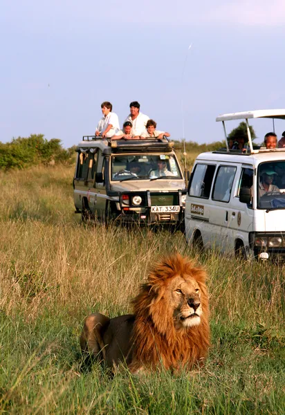 Safari in Africa — Stock Photo, Image