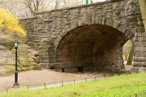 Central Park — Stock Photo, Image