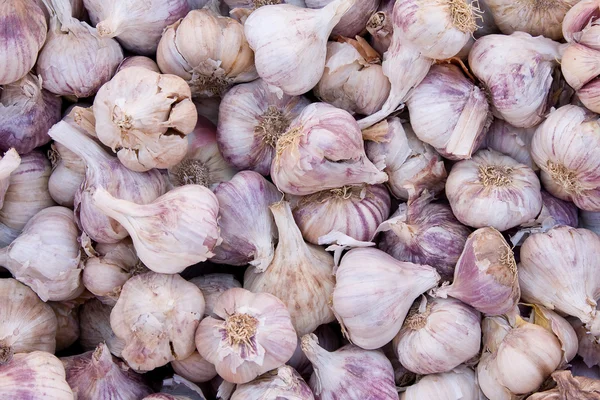 Knoblauch — Stockfoto