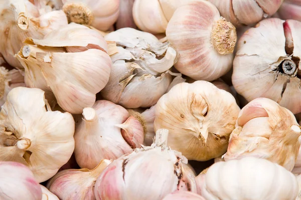 Garlics — Stok Foto