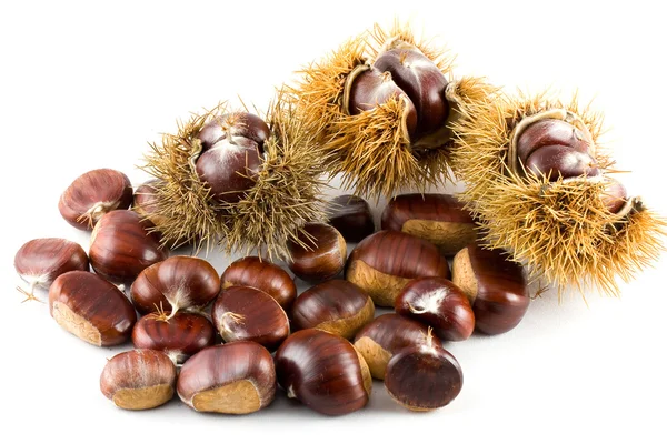 Chestnut — Stock Photo, Image