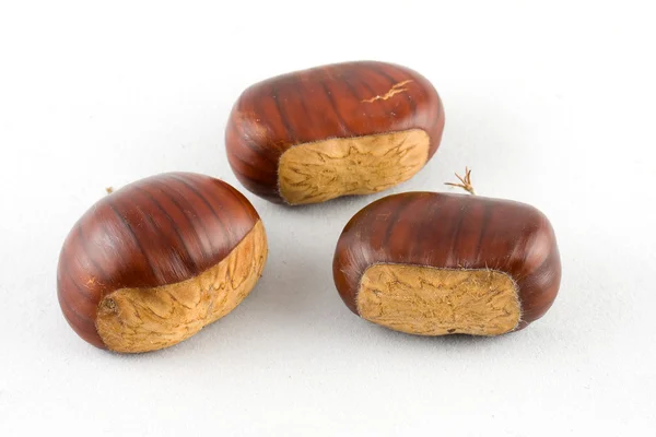 Chestnut — Stock Photo, Image