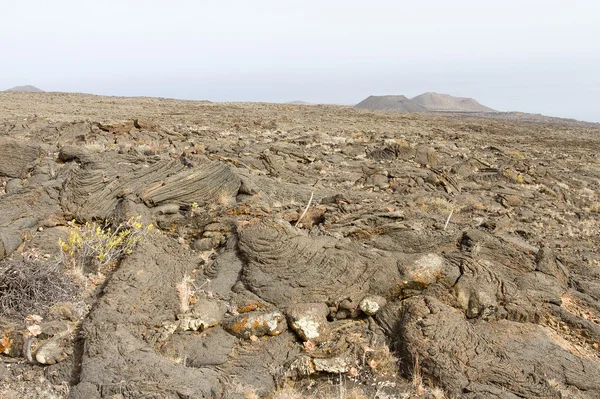 Flujo de lava en El Hierro — Foto de Stock