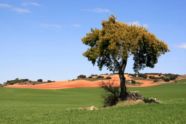 Krajobraz, Hiszpania — Zdjęcie stockowe