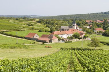 Martailly les brancion, Fransa