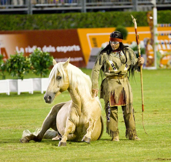 Show de cavalos — Fotografia de Stock