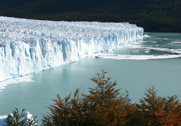 Glaciar Perito moreno — Fotografia de Stock