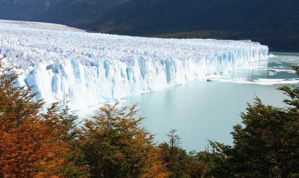 Perito Moreno — Stock Photo, Image