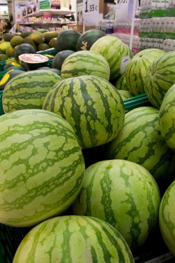 karpuzlar
