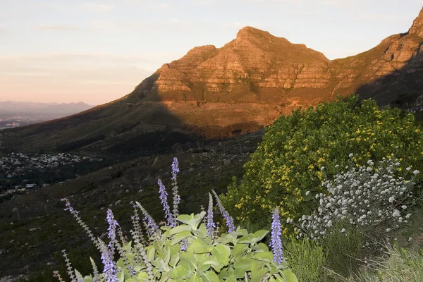 Table Mountain — Stock Photo, Image