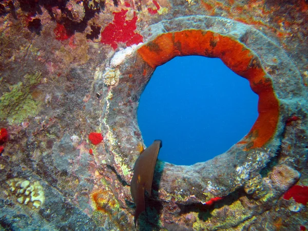 難破船 — ストック写真