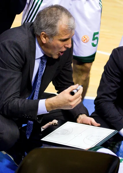 Zeljko Obradovic — Foto de Stock