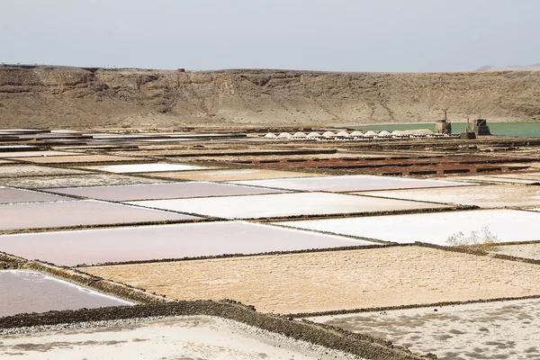 Salinas de Janubio — Stock Photo, Image