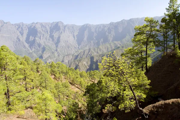 La Palma — Stockfoto