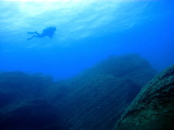 Buceo de buceo — Foto de Stock