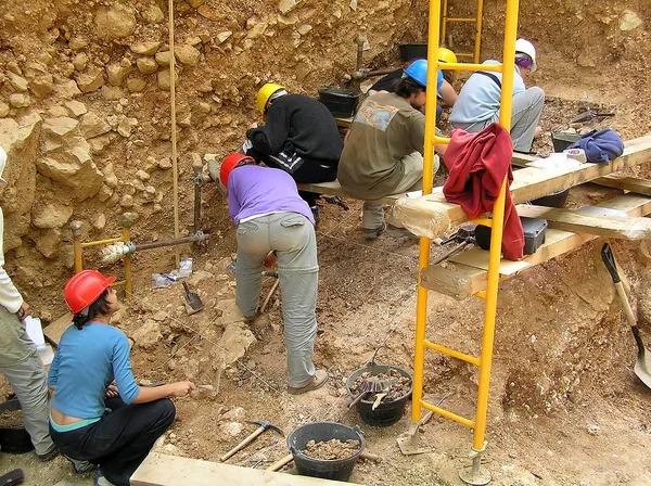 Fossil strony Atapuerca — Zdjęcie stockowe