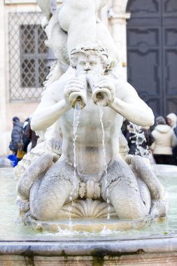 Fontana del Moro