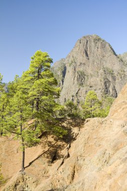 Caldera de Taburiente