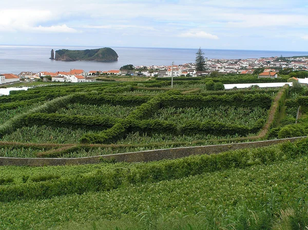 Campo de fazer vila franca — Fotografia de Stock