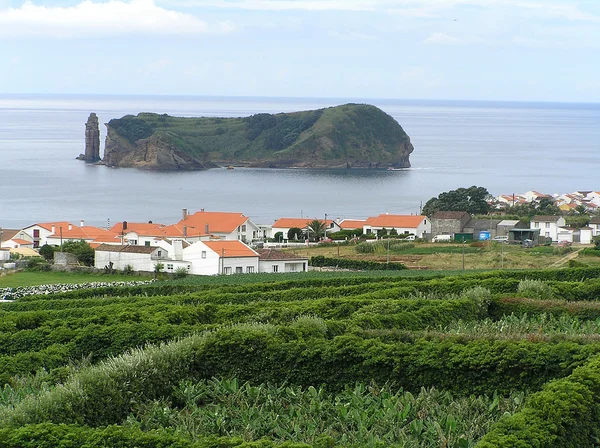 Campo de Vila franca — Foto de Stock