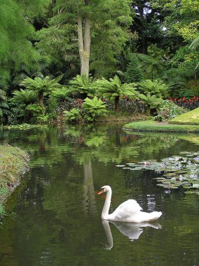 Bahçe sao Miguel