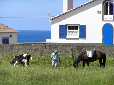Çiftçi sao Miguel