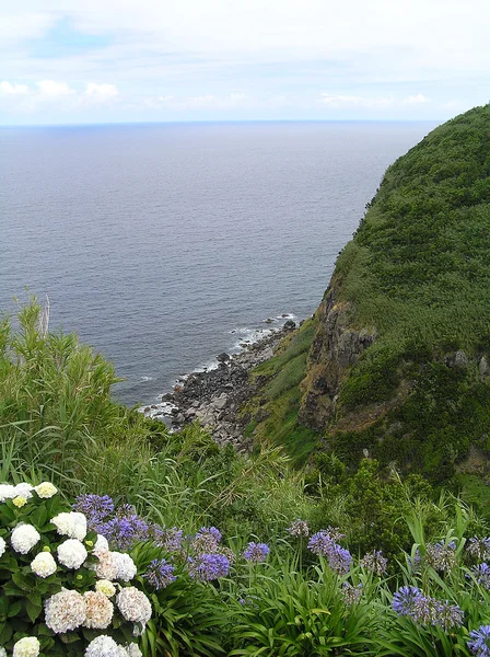 Île de Sao Miguel — Photo