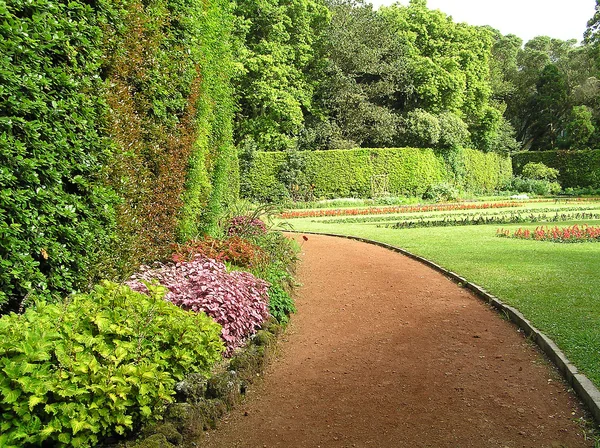 Jardín — Foto de Stock