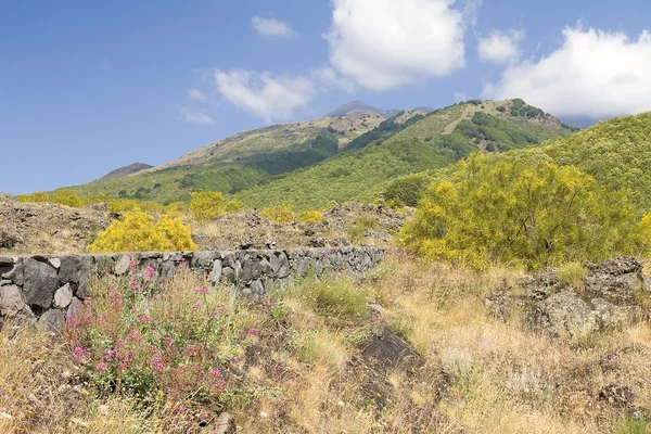 Parque Nacional de Etna — Fotografia de Stock